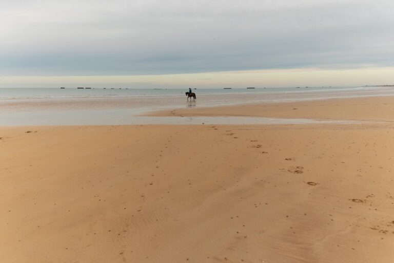 a person riding a horse on top of a sandy beach