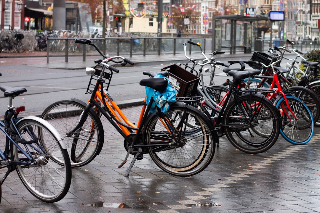 Dutch Cycling Culture: How the Bicycle Became King of the Netherlands