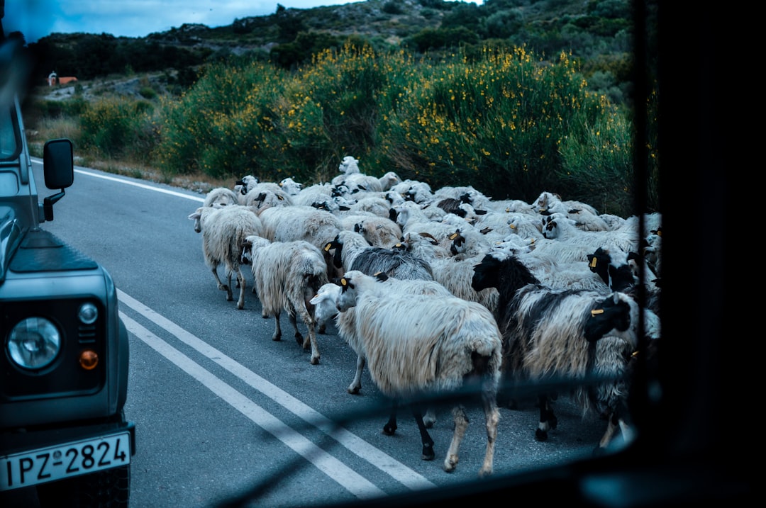 Getting Around Greece: Transportation Phrases Every Traveler Needs