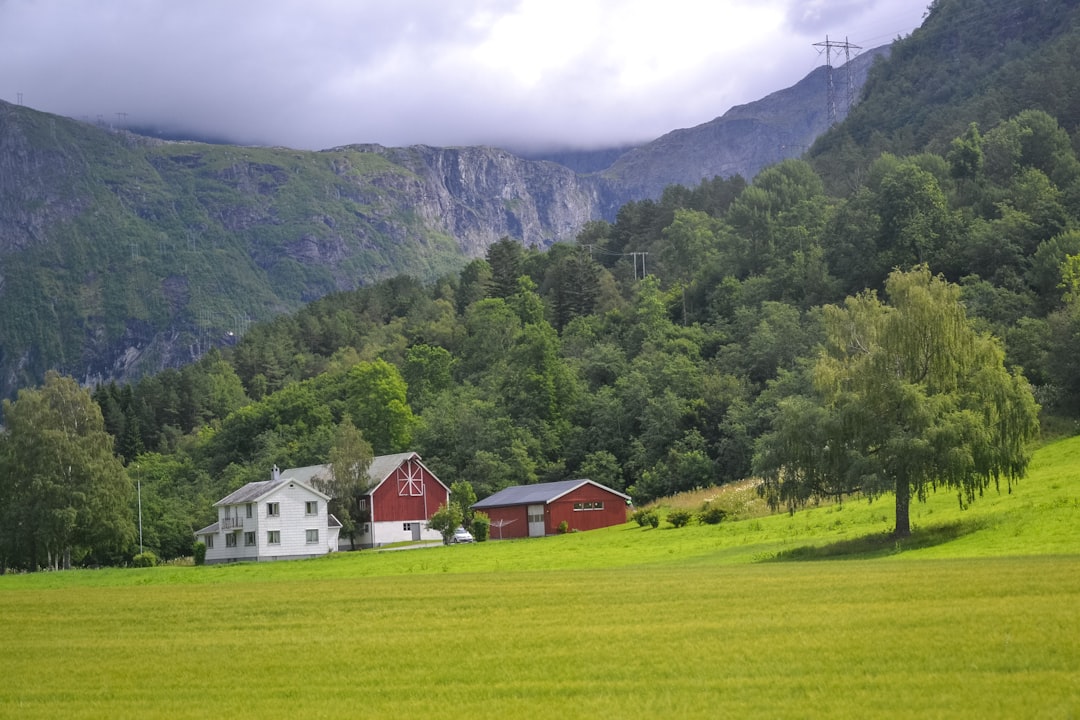 Norwegian Pronunciation Masterclass: The Melodic Language of the Fjords