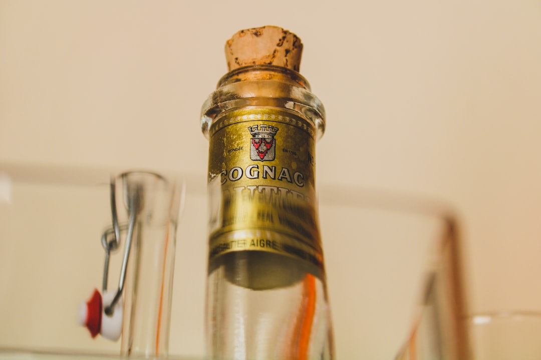 Polish Vodka: A Cultural History of the National Spirit