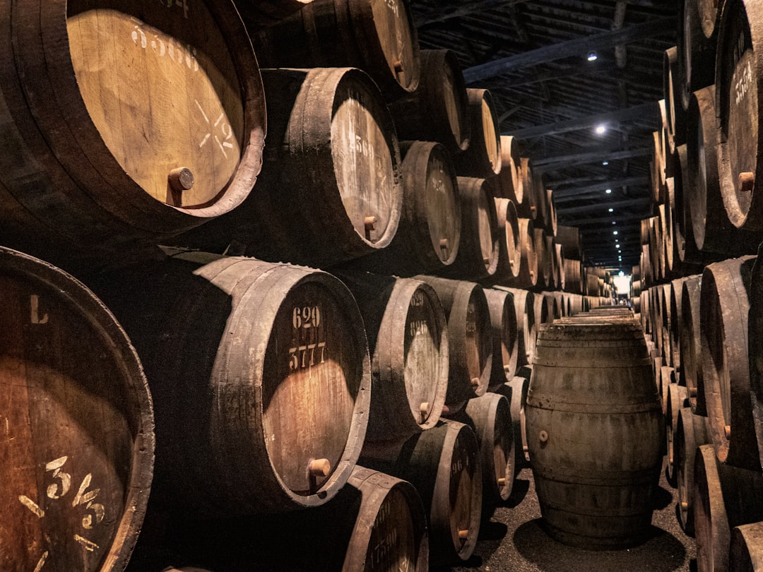 Port Wine in Porto: A Tasting Guide for Beginners