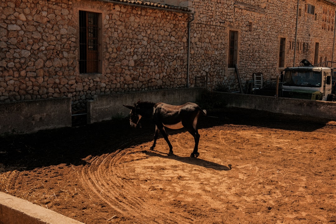 Spaghetti Westerns in Spain: How Almería Became the Wild West