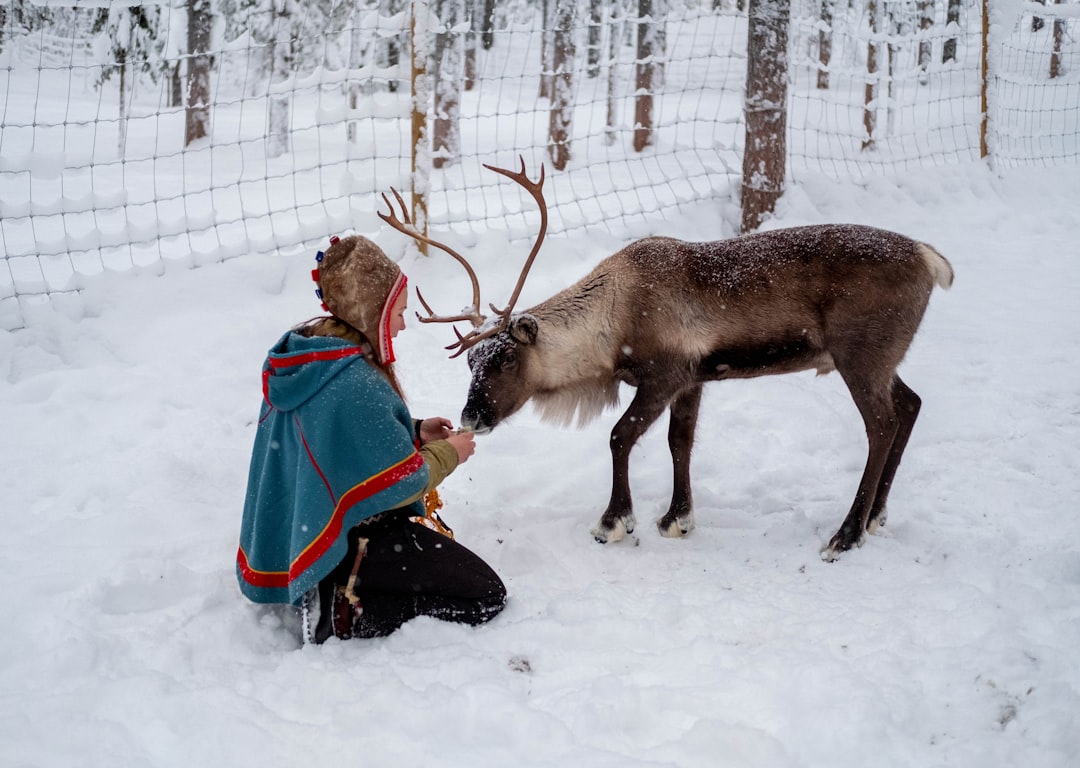Sweden and the Sami: The Indigenous People of Northern Europe