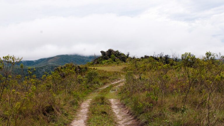 Dirt road winding through lush green hills under cloudy sky