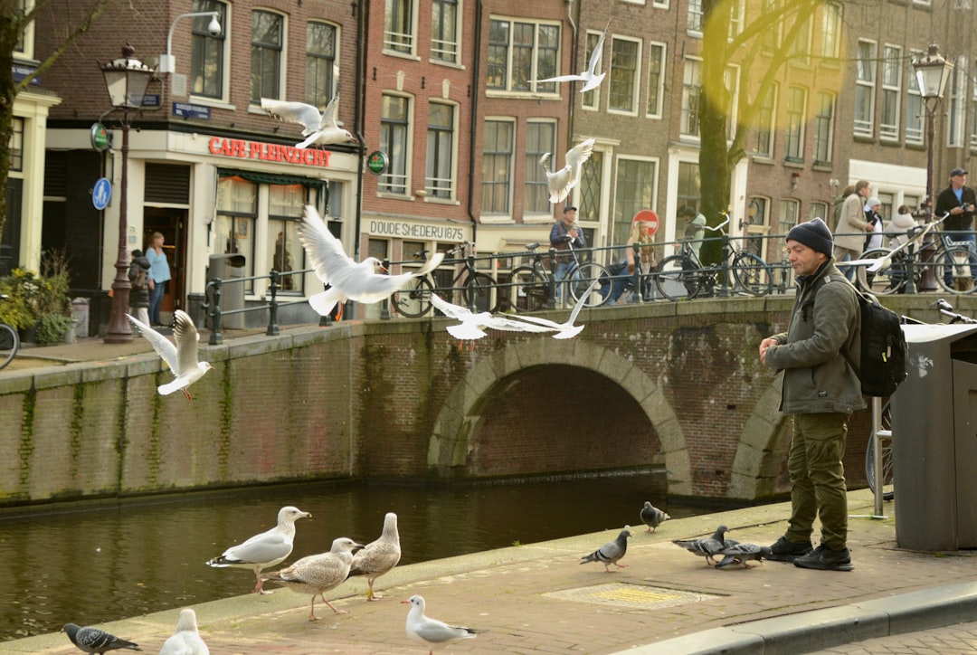 The Hitman’s Bodyguard: Amsterdam’s Action-Packed Filming Locations