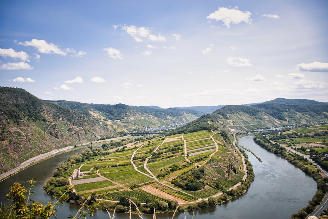 The Rise of Natural Wine in Europe: What You Need to Know