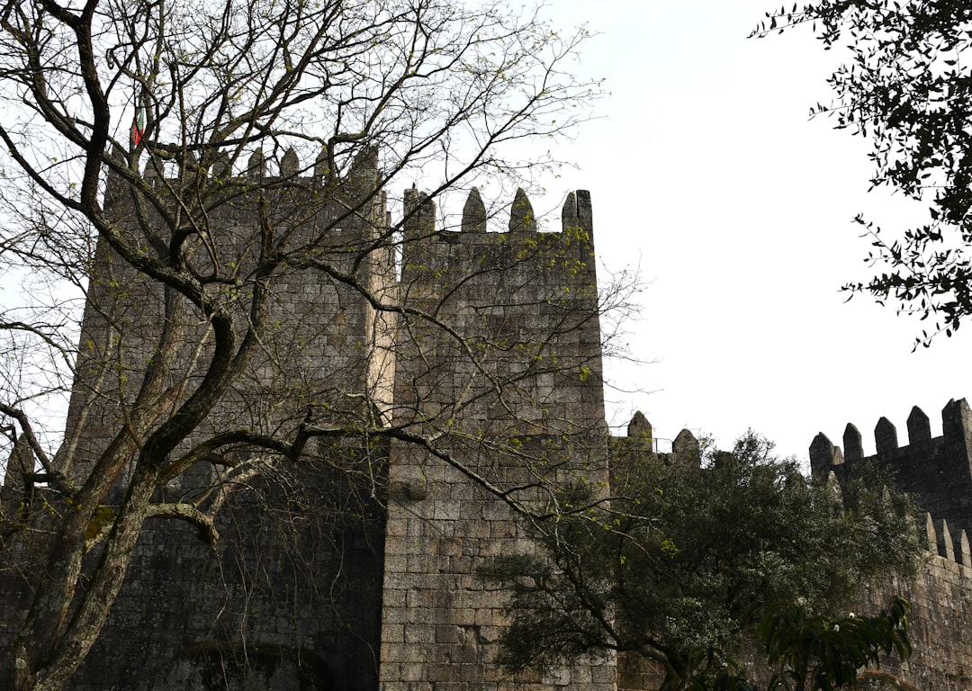 The Templars in Portugal: From Crusading Knights to the Order of Christ