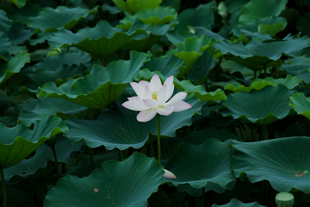 The White Lotus Season 2: Sicily’s Most Beautiful Filming Locations