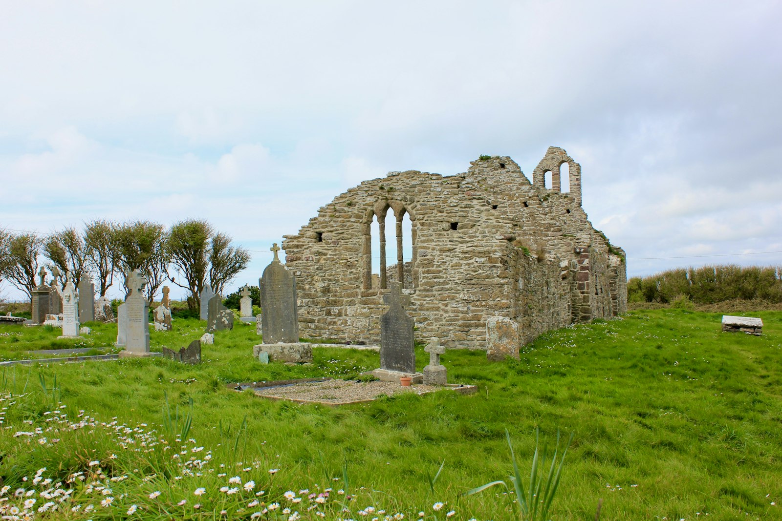 Rural Ireland: Farm Life, Bogs & the Countryside