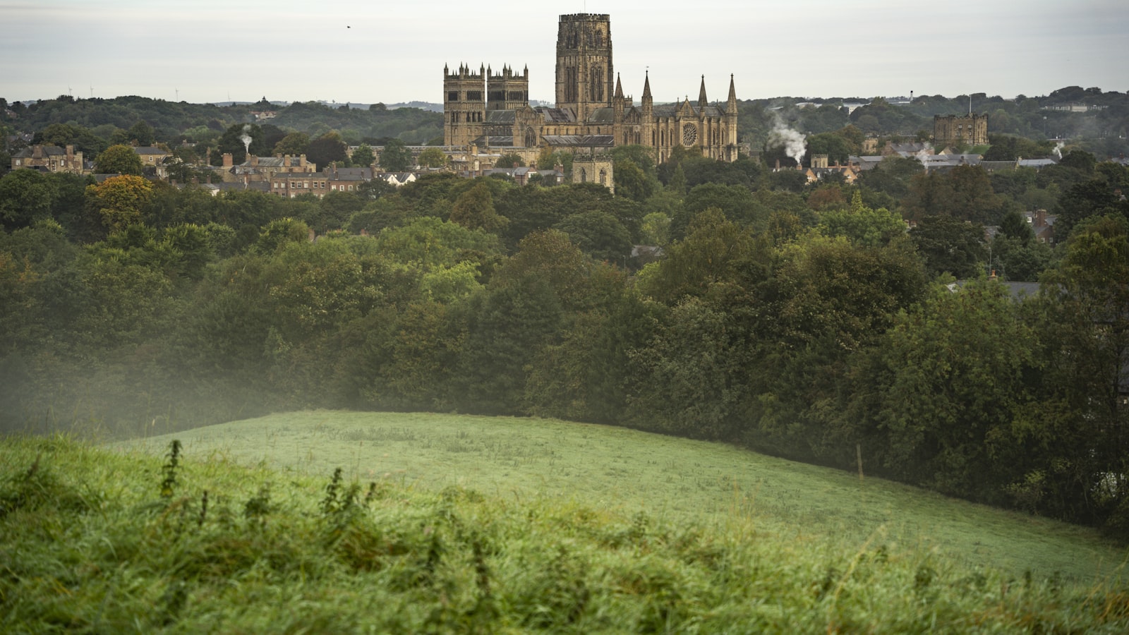 Medieval England: Magna Carta, Cathedrals & the Black Death