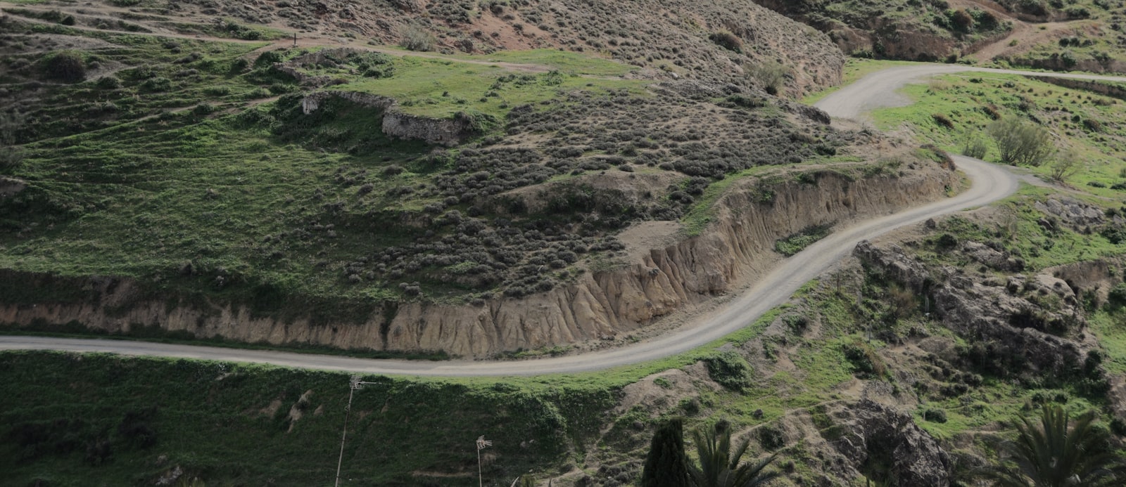 The Secret of Kells & Irish Animation: Kilkenny’s Creative Revolution