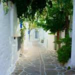 white painted wall near green-leafed plant during daytime