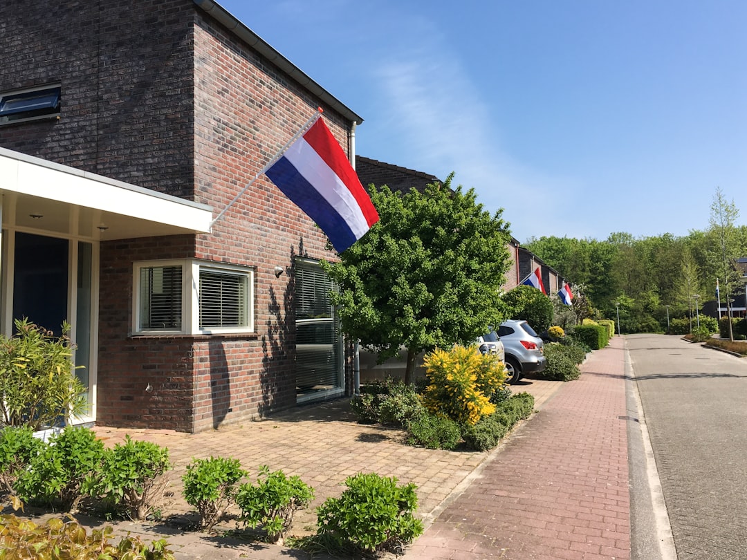 Working in the Netherlands as an American: Employment, Freelancing & Business